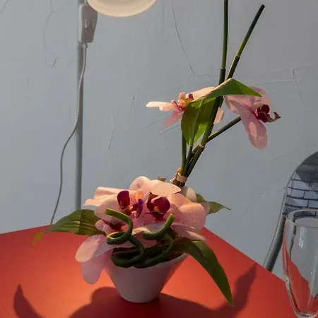Apartmán Coeur De *